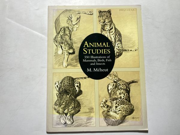 Animal studies : 550 illustrations of mammals, birds, fish, and insects 洋書 グラフィックデザイン 哺乳類、鳥類、魚類、昆虫 全550点_画像1