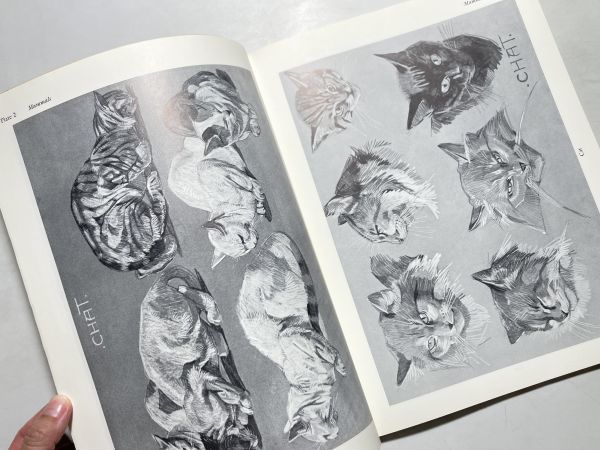 Animal studies : 550 illustrations of mammals, birds, fish, and insects 洋書 グラフィックデザイン 哺乳類、鳥類、魚類、昆虫 全550点_画像2