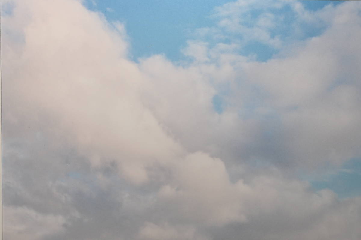 風景写真家■前田真三■写真 北海道美瑛 丘 青空 拓真館 額装 東京都出身 日本写真協会賞文化振興賞受賞 フォト カラー写真 自然 真贋保証の画像5