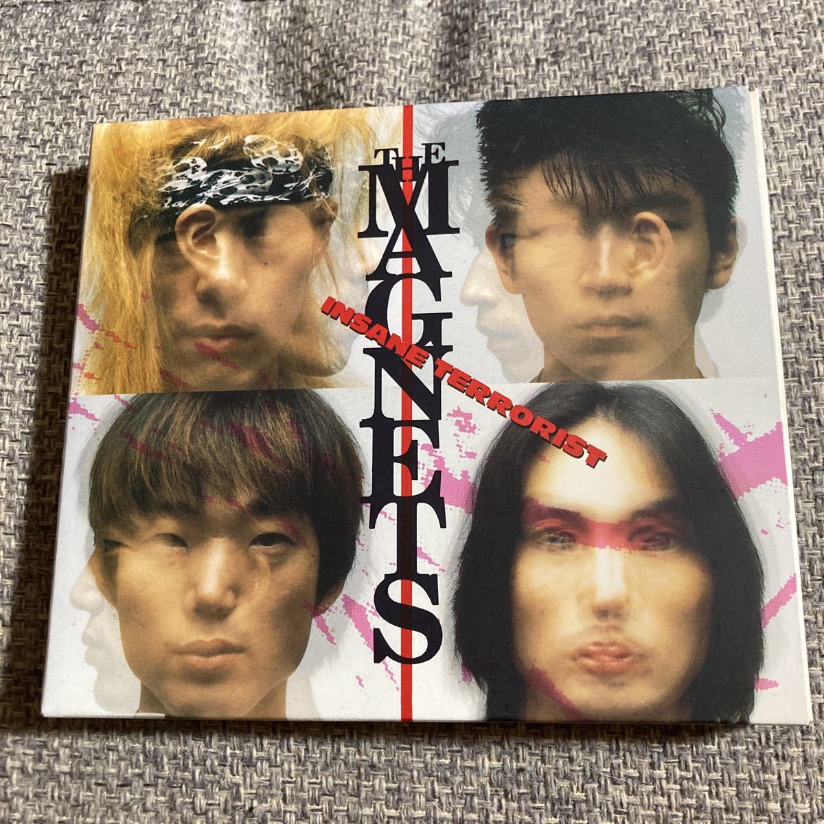 THE MAGNETS / INSANE TERRORIST CD マグネッツ_画像1