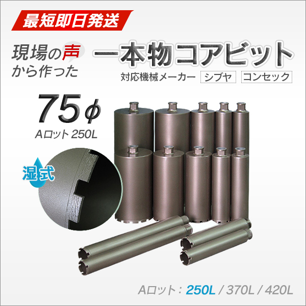 コアビット Aロット 75φ 250L_画像1