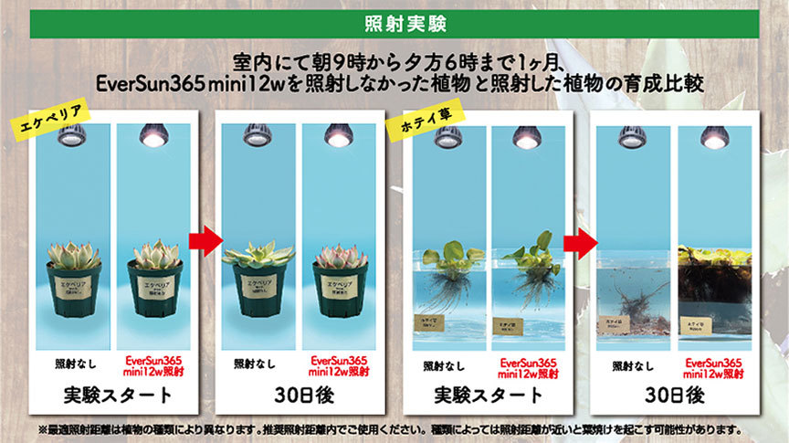 ゼンスイ　エバーサン365　ミニ　ブラック　EverSun365mini black　12W　植物育成用LEDライト_画像5