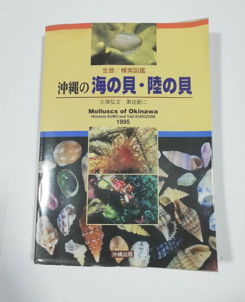 代引可】 ☆送料無料 沖縄の海の貝・陸の貝 生態/検索図鑑（沖縄・琉球