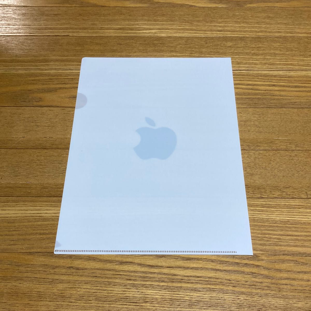 Apple A4 ファイルケース　2枚セット