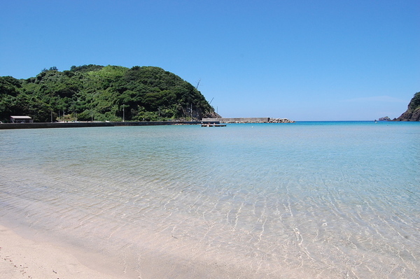 アオリイカ　1袋　1杯　670g 島根県産_画像2