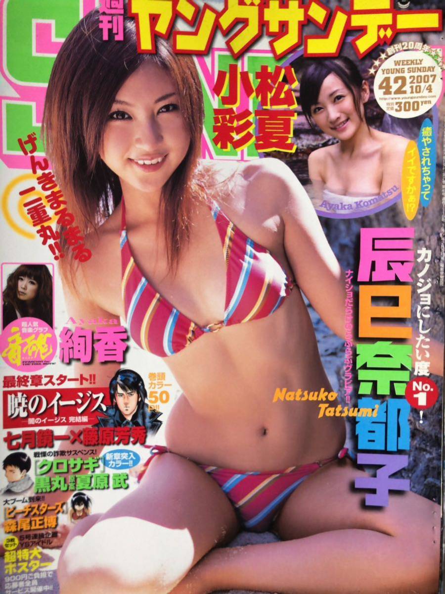 雑誌付録切り抜き表紙　辰巳奈都子8ページ　秋山莉奈　山本梓　原幹恵　1ページ　辰巳奈都子大友さゆり1ページ_画像2