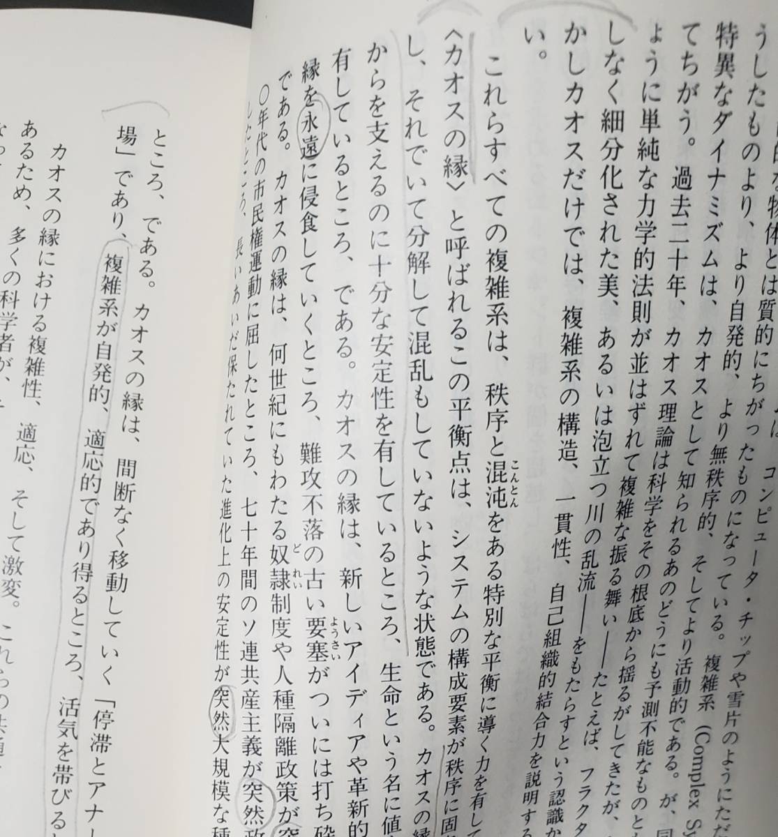 【即決・送料込】書き込みあり　複雑系 科学革命の震源地・サンタフェ研究所の天才たち　新潮文庫_画像3