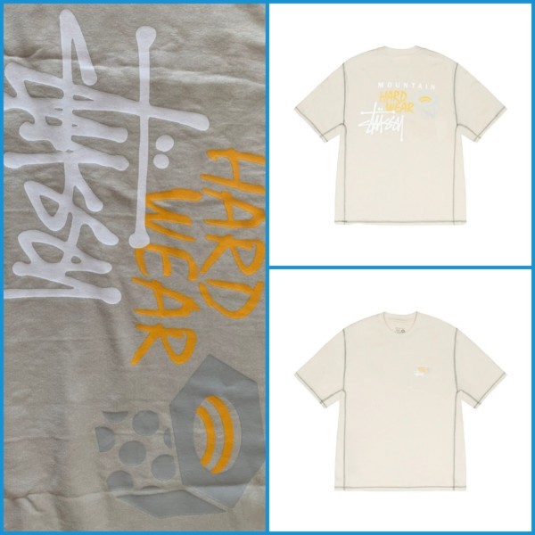 文字、ロゴ STUSSY & MOUNTAIN HARDWEAR TEE