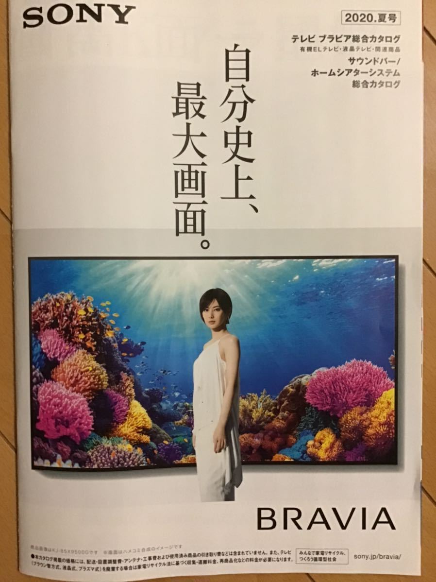 北川景子(表紙) ★SONY BRAVIA 期間限定総合カタログ　★A4サイズ　★新品・非売品_画像1