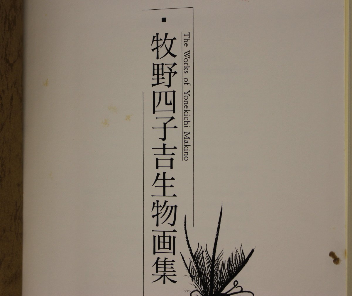 画集『牧野四子吉生物画集』牧野四子吉著 講談社 補足:植物哺乳類鯨の胎児両棲類爬虫類クモ類昆虫類無脊椎動物海産魚類淡水魚類鳥類図鑑_画像3