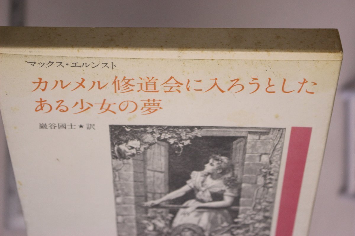 小説『カルメル修道会に入ろうとしたある少女の夢』マックス・エルンスト 著 巖谷國士 訳 河出書房新社 補足:闇の女髪の毛ナイフ天の婚約者_画像4