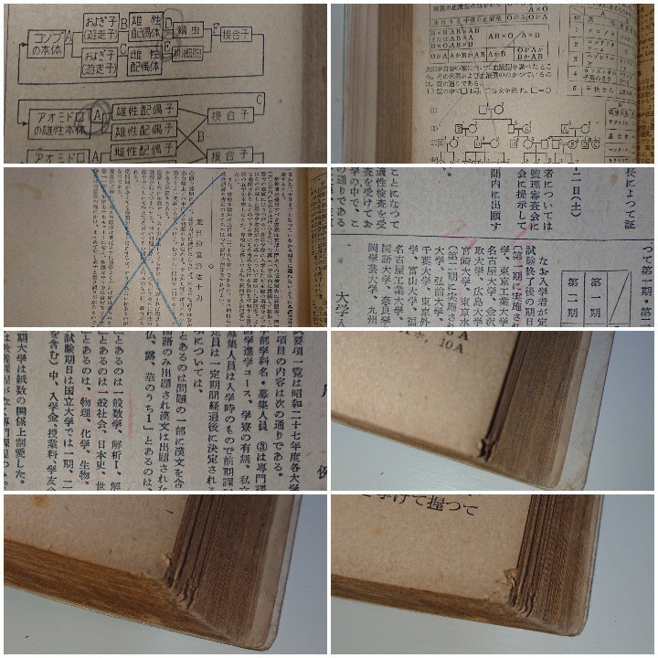 全国主要大学 入試問題正解 昭和27年度(1952年度) 旺文社 大学 全国主要大学 入試問題正解 昭和27年度(1952年度) 旺文社 大学