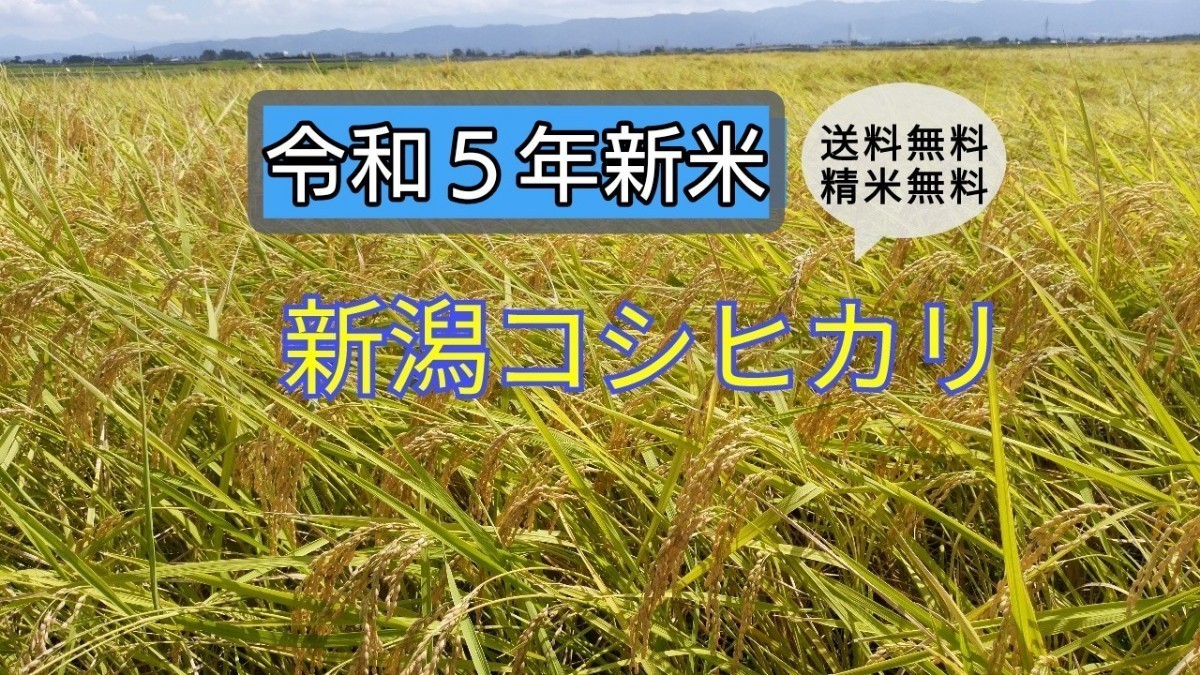 生産農家直送！新潟コシヒカリ玄米30kgのサムネイル