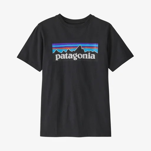 パタゴニア☆キッズ リジェネラティブ オーガニック サーティファイド コットン P-6ロゴ Tシャツ ( INBK / XXL：16-18