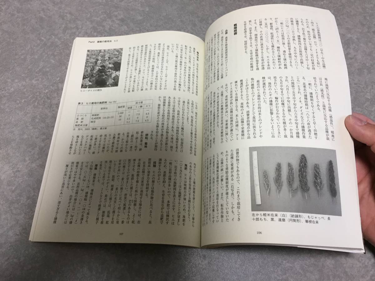 農家が教える雑穀・ソバ 育て方・食べ方―アワ、キビ、ヒエ、アマランサス、シコクビエ、モロコシ、キノア、ハトムギ、ソバ_画像3