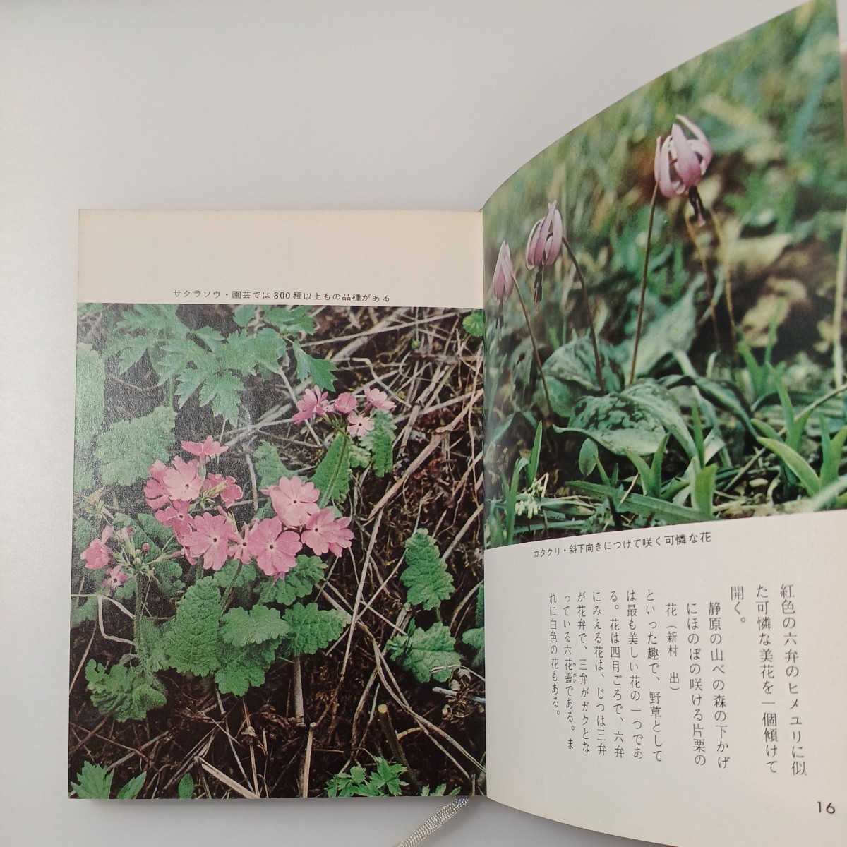 zaa-519♪カラー歳時記(カラーブックス)『 花木 』＋『 草花 』 松田 修 (著)＋『 庭木の病害虫 』奥野 孝夫 (著) 3冊セット 文庫 