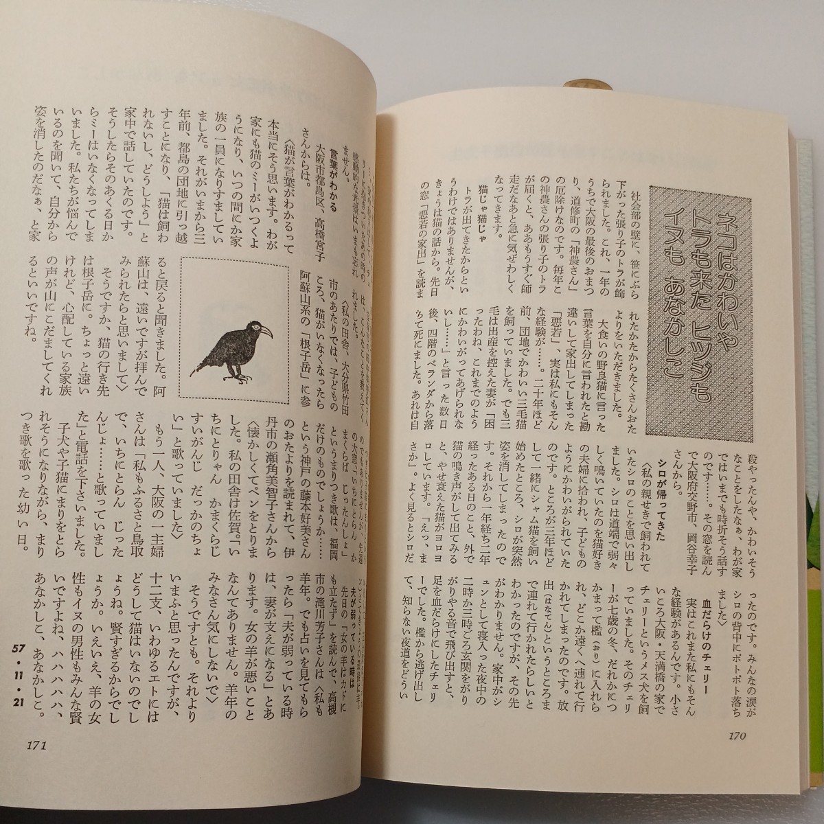 zaa-520♪記者の窓から 1982・2・7・1―12・31 読売新聞大阪社会部(編) (1983/5/15)