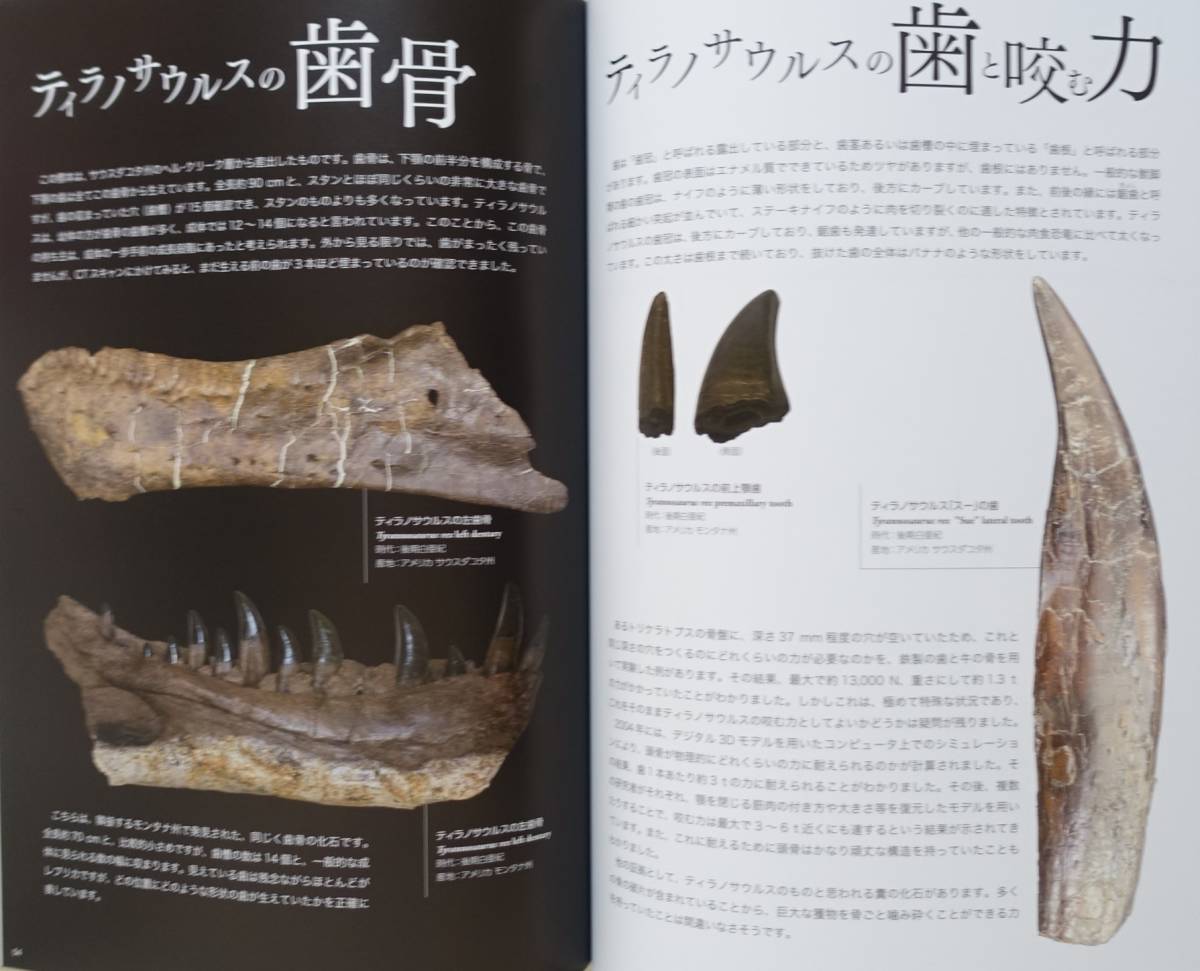 『ティラノサウルス展』図録 T.rex Tレッックス 肉食恐竜 化石 獣脚類 進化 荒木一成 復元模型 恐竜 検索）図鑑 _画像7