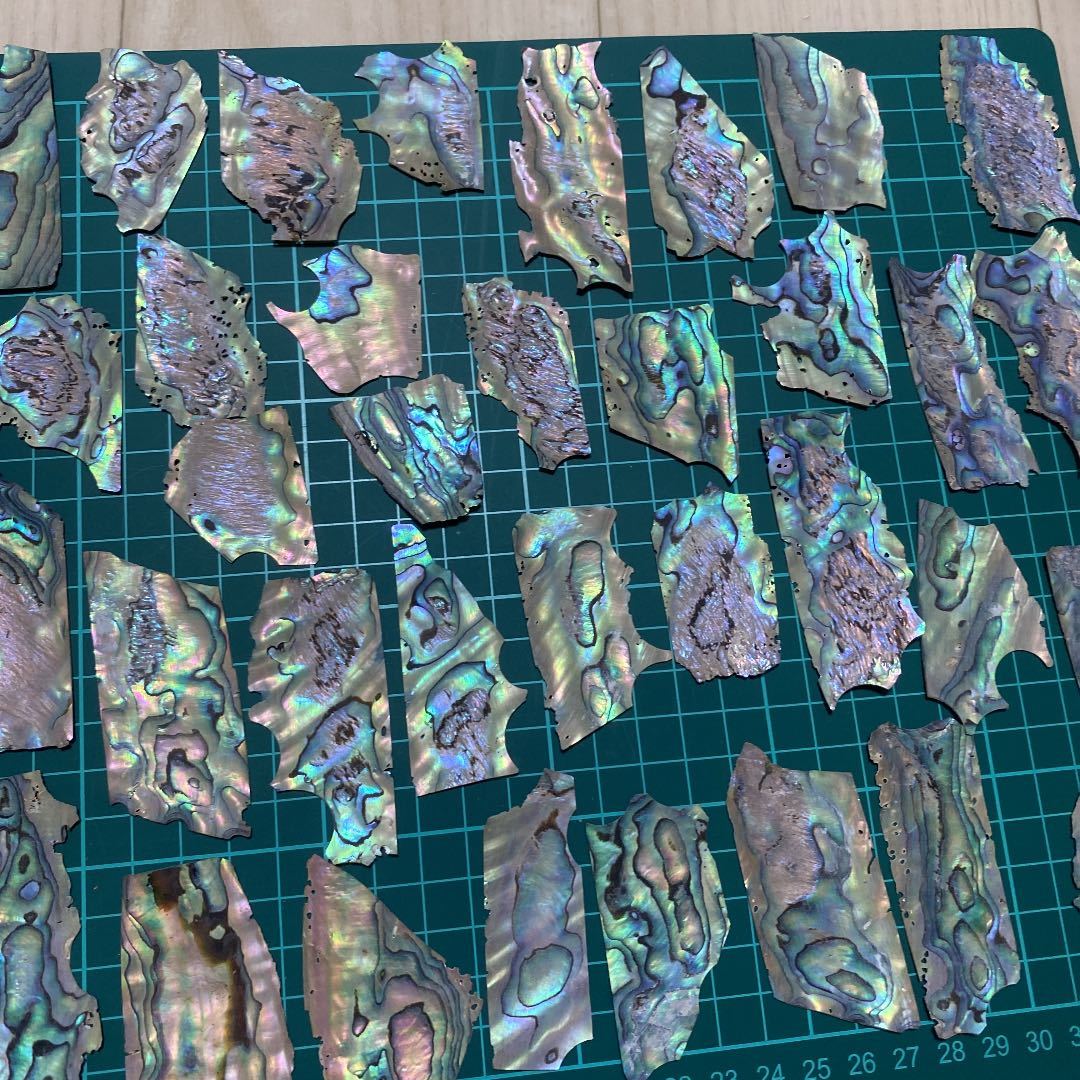  abalone shell slice 40g30 sheets rom and rear (before and after) 