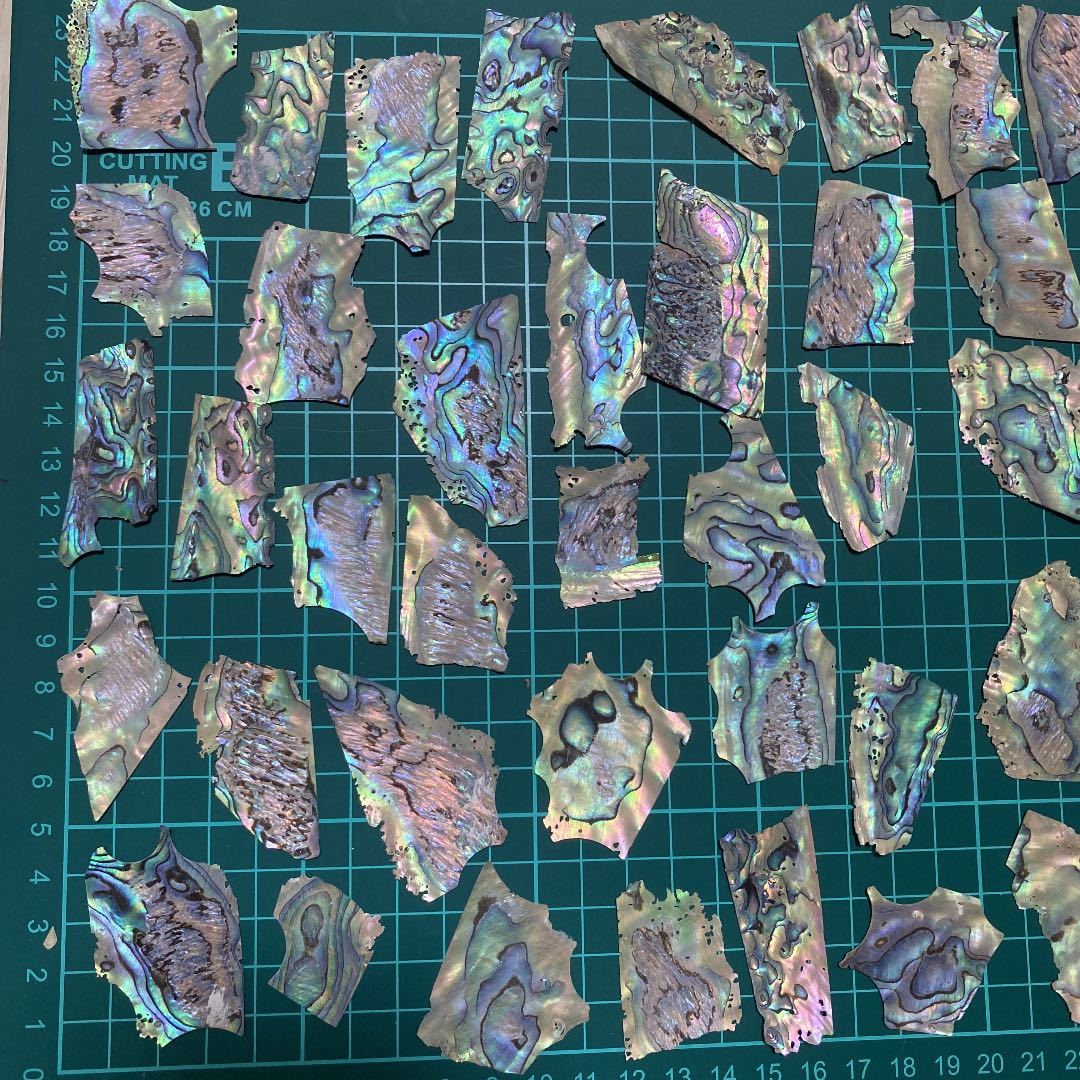  abalone shell slice 40g30 sheets rom and rear (before and after) 