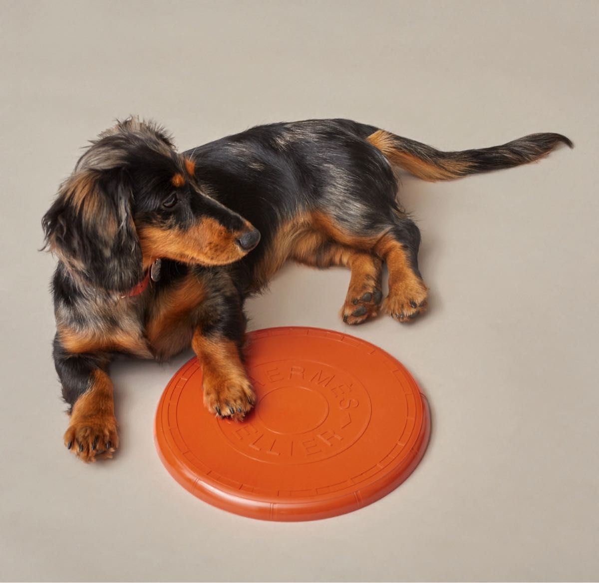 2点セット 犬用 EVA樹脂製フリスビー(S&Lサイズ・黄緑)噛む