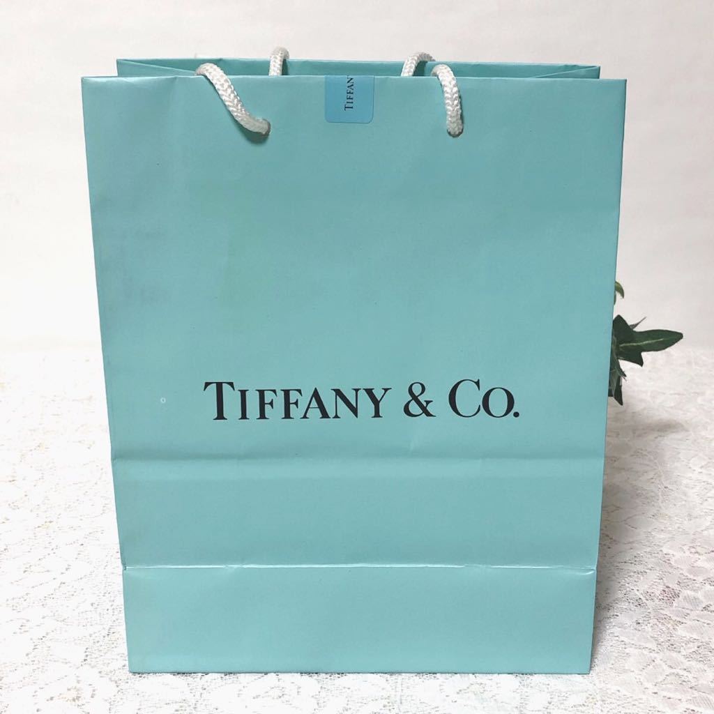 ティファニー「TIFFANY&Co.」ショッパー 小物箱サイズ 旧型 (3043) 正規品 付属品 ショップ袋 ブランド紙袋 封筒付き 折らずに配送 _画像4