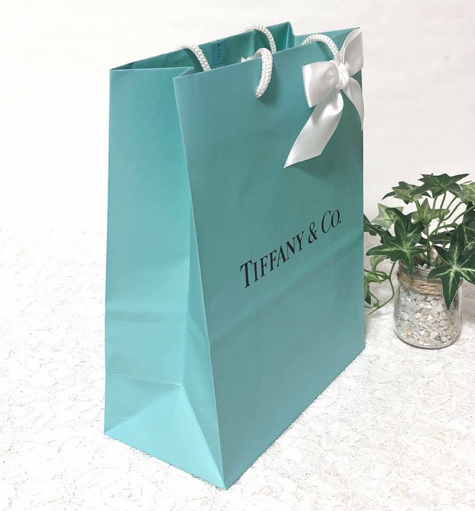 現行品Tiffanyティファニー空箱巾着紙袋15x13 10セット - ラッピング・包装