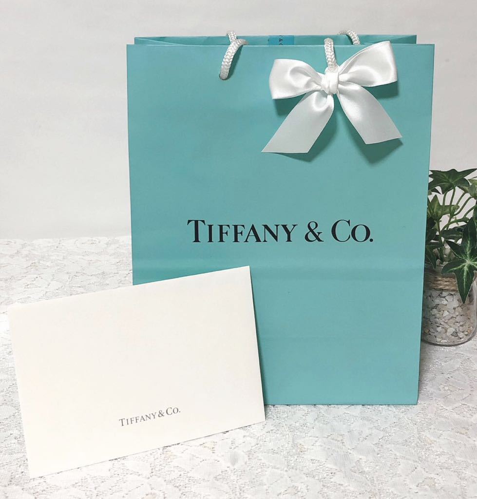 ティファニー「TIFFANY&Co.」ショッパー 小物箱サイズ 旧型 (3043) 正規品 付属品 ショップ袋 ブランド紙袋 封筒付き 折らずに配送 _画像1