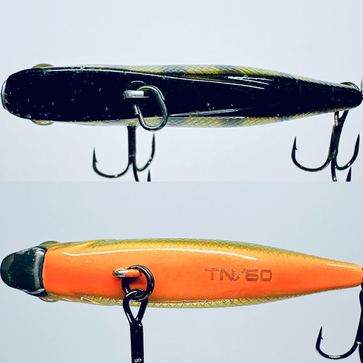 ジャッカル TN60 廃盤カラー シャンパンタイガー 検索) 琵琶湖 ジャッカル TN60 廃盤カラー シャンパンタイガー 検索) 琵琶湖