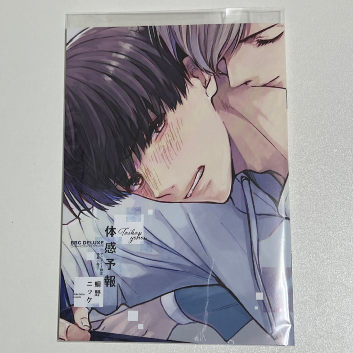 体感予報 鯛野ニッケ アニメイト限定有償特典 小冊子|PayPayフリマ