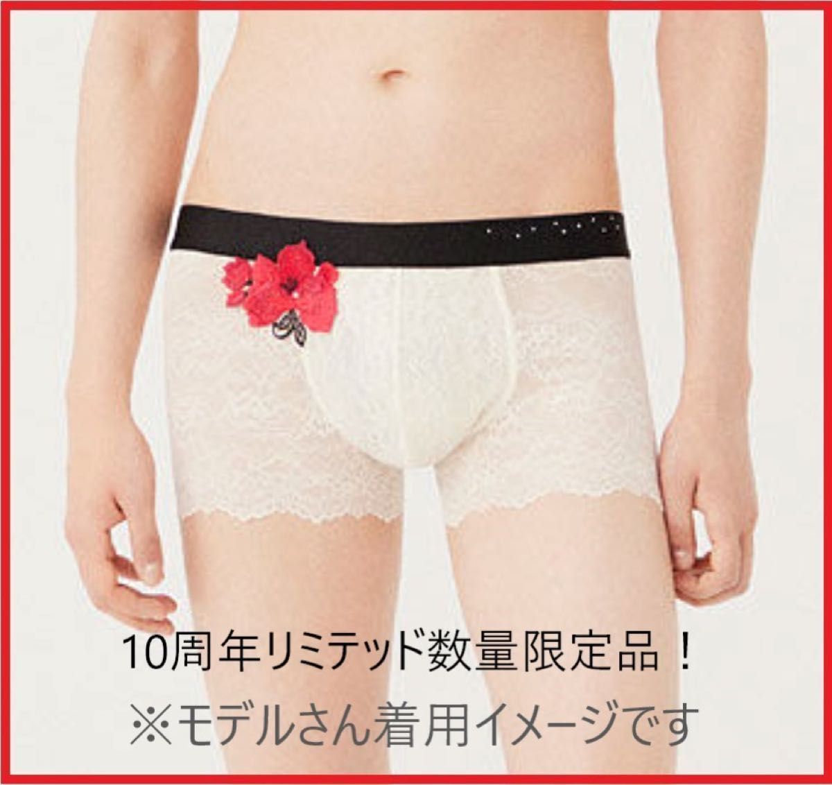 ワコールメン レース ボクサー サイズL カラー RE 新品タグ付 10 ワコールメン レース ボクサー サイズL カラー RE 新品タグ付 10