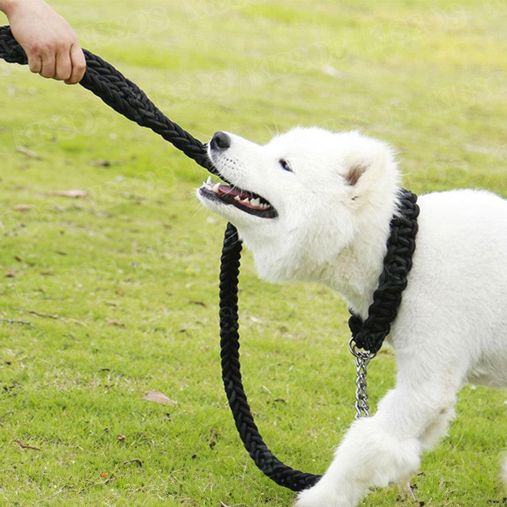 ペット 犬用 リード 首輪 ハーフチョーク 極太 小型犬 中型犬 大型犬 おしゃれ 可愛い カラフル お散歩 (Lサイズ, ブラック)_画像3