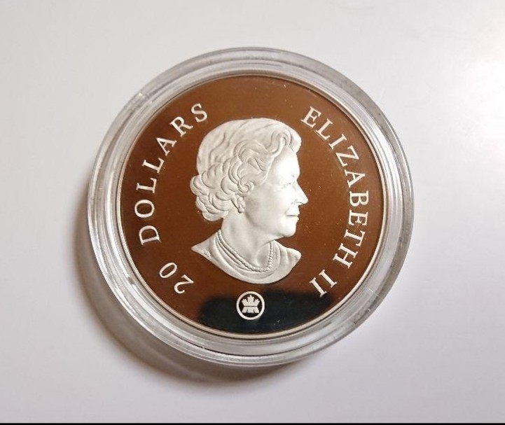 2007年 カナダ銀貨 スノーフレーク・アクアマリン・コイン No.857 - 旧