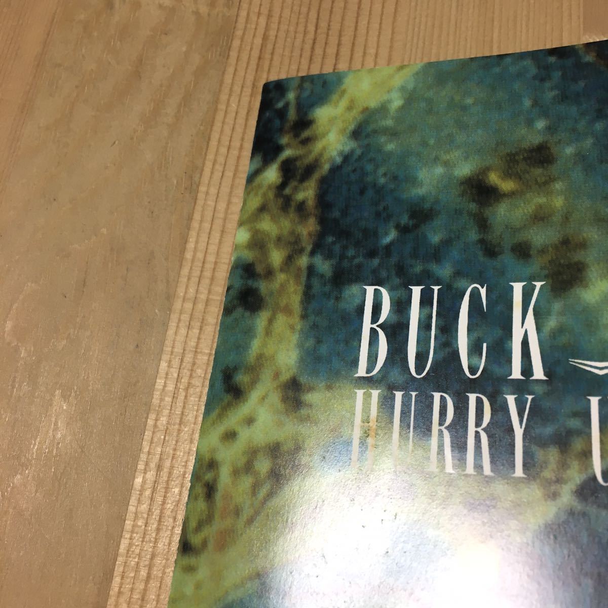 BUCK-TICK バクチク CD アルバム セット まとめ売り ROMANESQUE 悪の華 HURRY UP MODE SEXY STREAM LINER スピード キャンディ_画像9