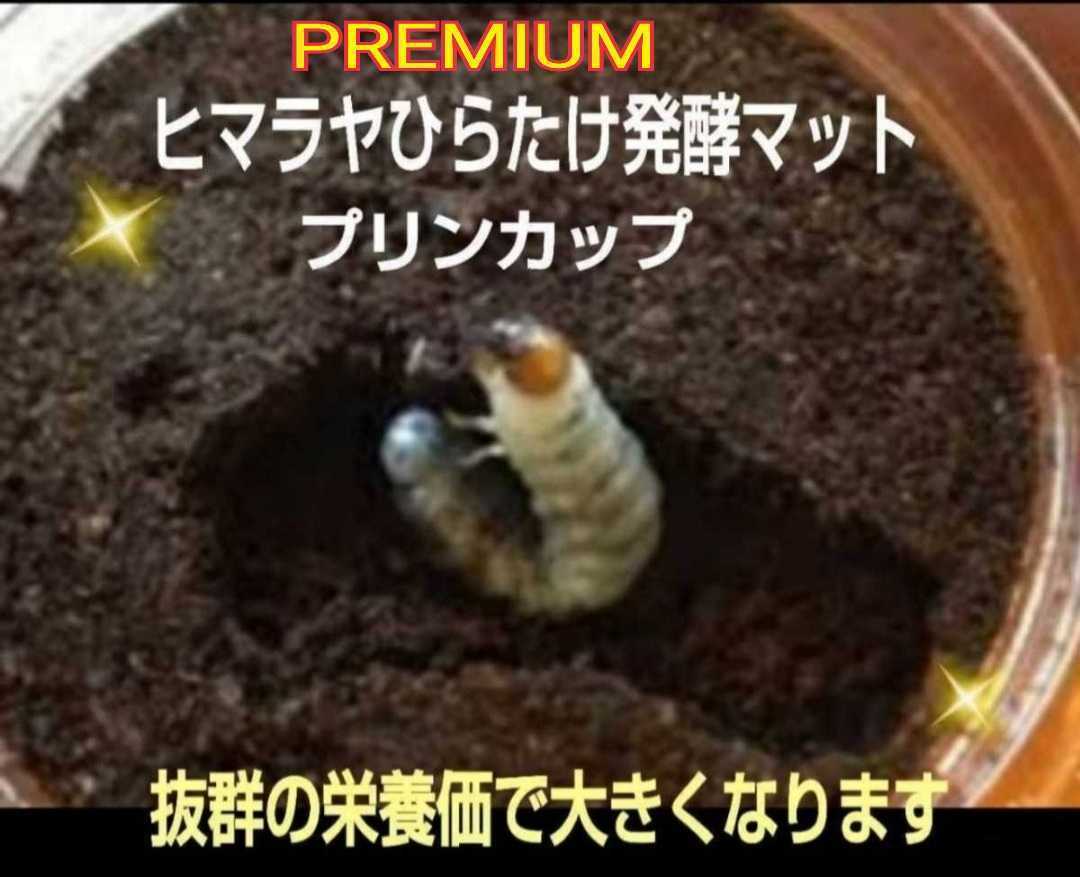  the first .,2.. small amount .. convenience * premium 3 next departure . stag beetle mat entering pudding cup [30 set ]o ok wa, common ta, Miyama,nijiiro, saw .