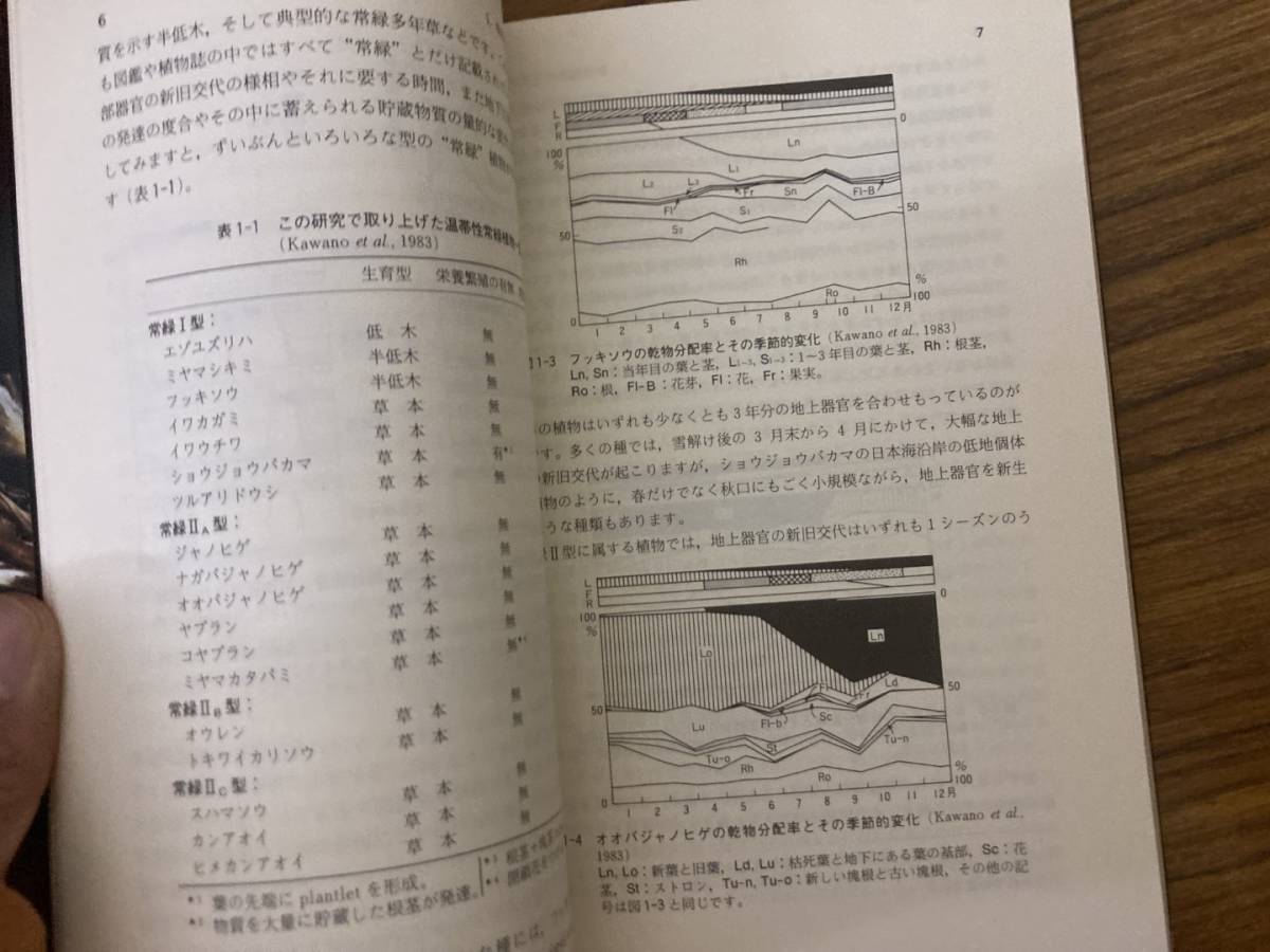 植物の生活史と進化　全2冊(雑草の個体群統計学／林床植物の個体群統計学)　河野 昭一_画像5