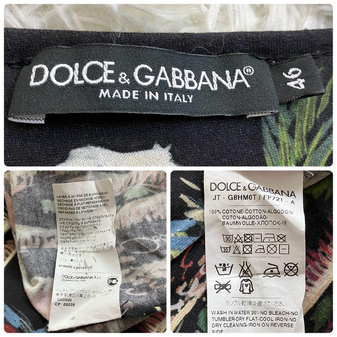 【美品】 ドルチェアンドガッバーナ アロハ Tシャツ ヤシの木 総柄 DOLCE＆GABBANA D&G ドルガバ 派手 ハワイアン Mサイズ相当 メンズ_画像8