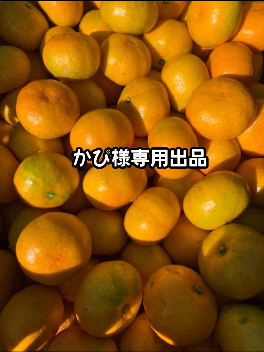 かぴ様専用出品