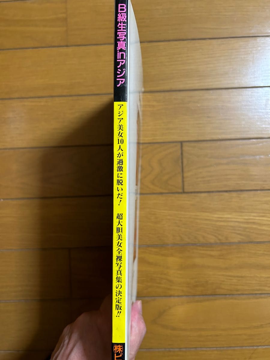 B級生写真inアジア　カルフォルニアヴァレーピクシーズ　写真集2冊セット