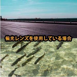 メガネの上から着用できる 跳ね上げ式 偏光サングラス オーバーサングラス TR90素材 色：黒 UVカット 紫外線カット アウトドア 釣り 登山