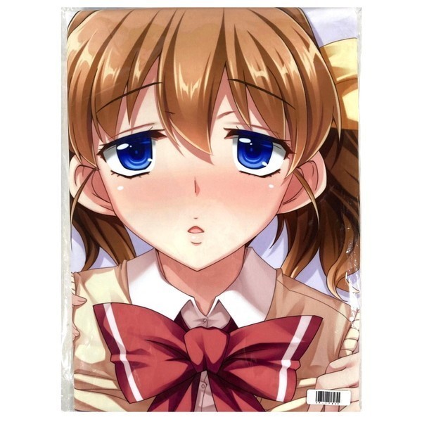 ★決算特価商品★ bbsacon ピンポイント 柏木明音 アクア フレス製 / 抱き枕カバー 抱き枕