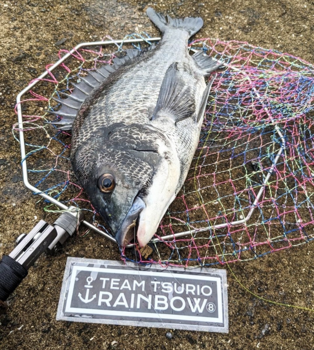 50cm TTRオリジナル スーパー釣男レインボーネット/TEAM釣男RAINBOWの画像6