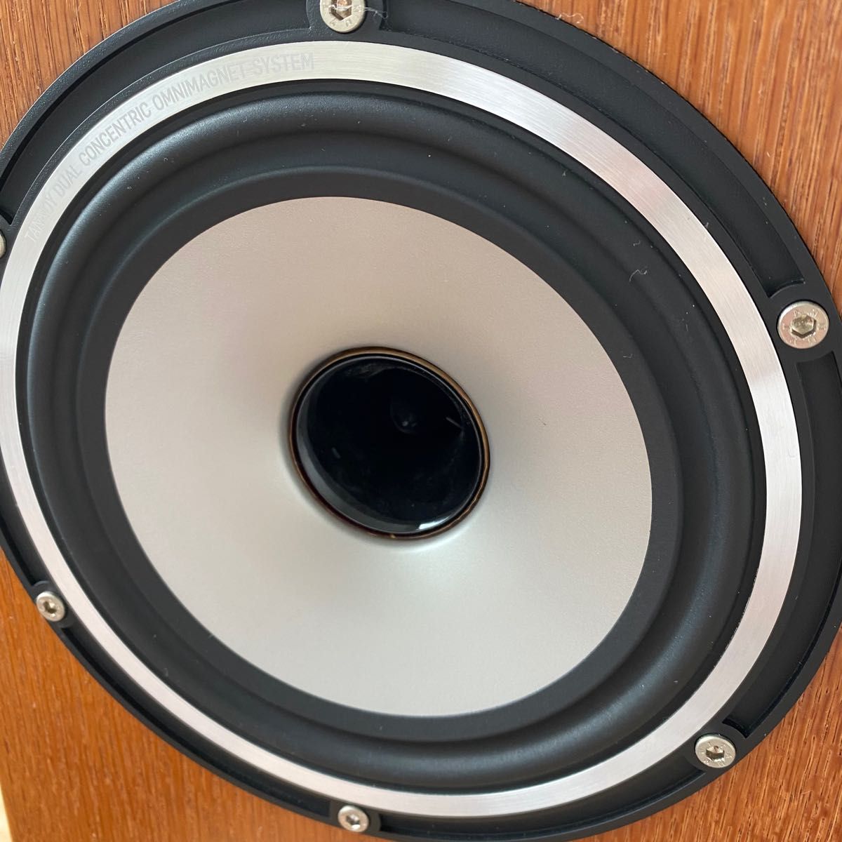 【美品】TANNOY タンノイ Revolution XT 6 WL スピーカー