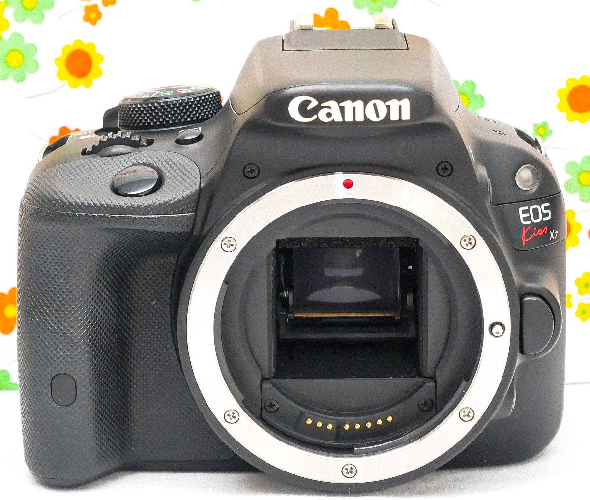 美品☆ Canon EOS Kiss X7☆スマホ転送☆高画質・動画撮影・超軽量-