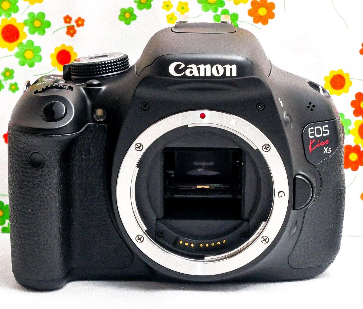 美品 Canon Kiss X5 スマホ転送 自撮り可能 人気の一眼レフ 動画撮影