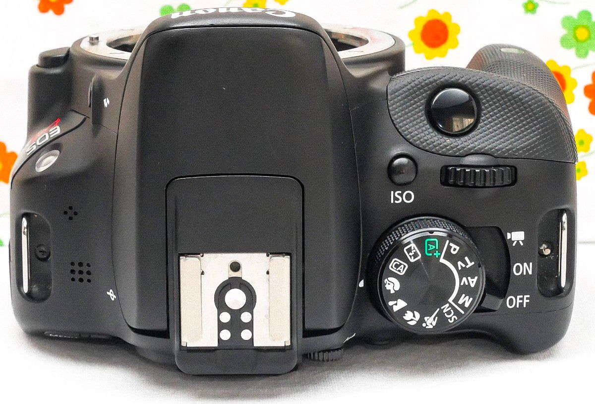 美品 Canon EOS Kiss X7 スマホ転送 高画質・動画撮影・超軽量｜PayPay