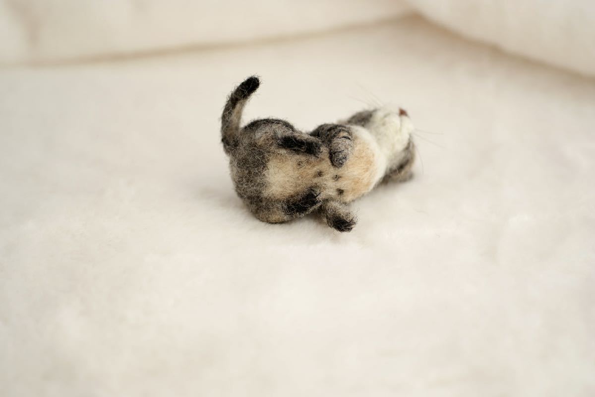 ＊maru＊羊毛フェルト　小さなキジ猫の子猫　ハンドメイド　ブライス　人形　ドールハウス_画像7