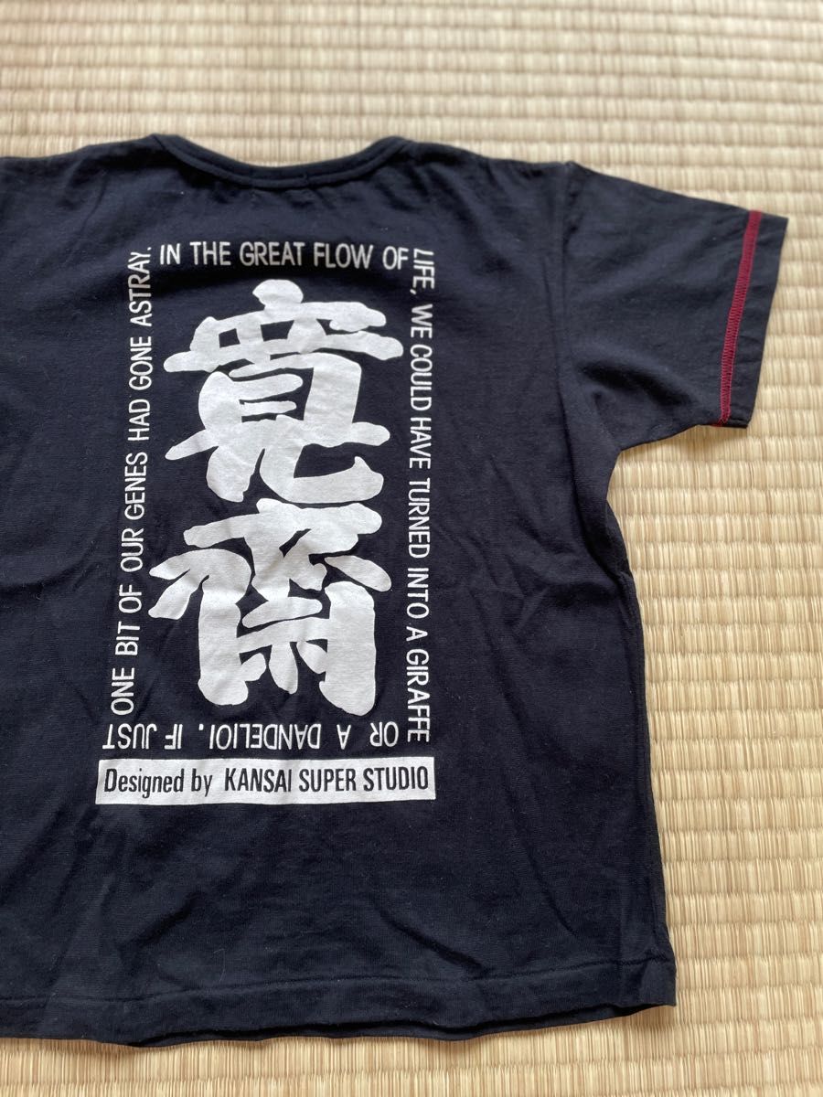 Tシャツ　綿100  （300円）