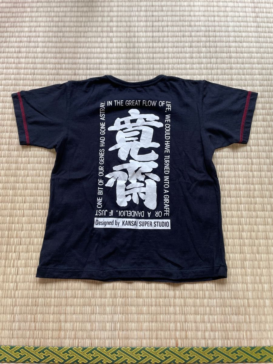 Tシャツ　綿100  （300円）