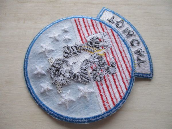 【送料無料】アメリカ海軍トムキャットTOMCATパッチ刺繍ワッペン/F-14戦闘機patchトップガンTOM CAT攻撃戦隊USN米軍NAVY M18の画像6